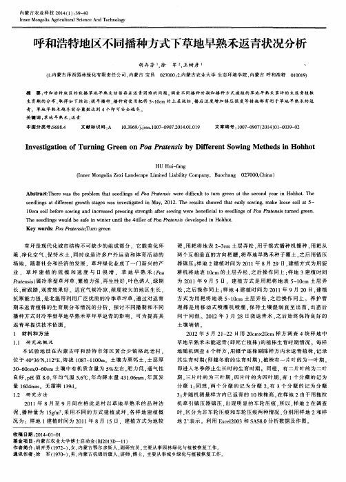 呼和浩特地区不同播种方式下草地早熟禾返青状况分析