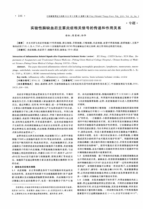 实验性脑缺血后主要炎症相关信号的传递和作用关系