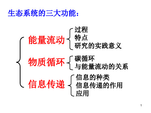 生态系统的三大功能(课堂PPT)