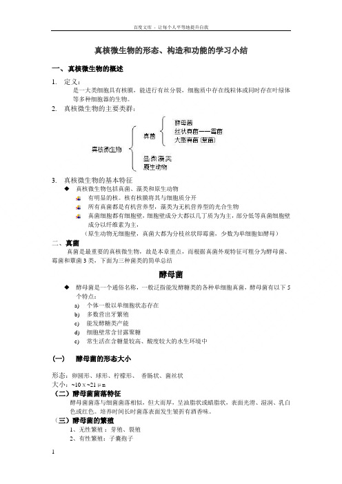 真核微生物的形态构造和功能的学习小结