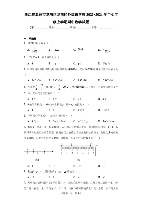 浙江省温州市龙湾区龙湾区外国语学校2023-2024学年七年级上学期期中数学试题