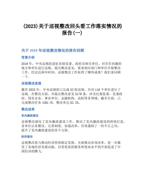 (2023)关于巡视整改回头看工作落实情况的报告(一)