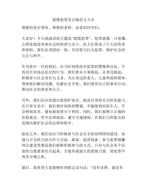 震慑犯罪发言稿范文大全