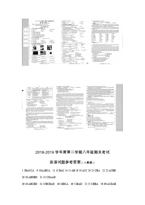 河北省邢台市临西县统考2018-2019学年八年级下学期英语期末试题(扫描版)