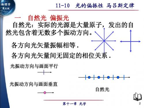 光的偏振性