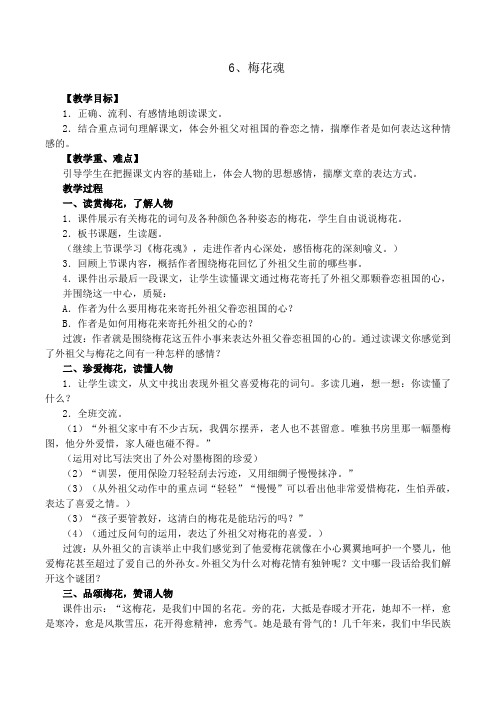 梅花魂教案(第二课时)