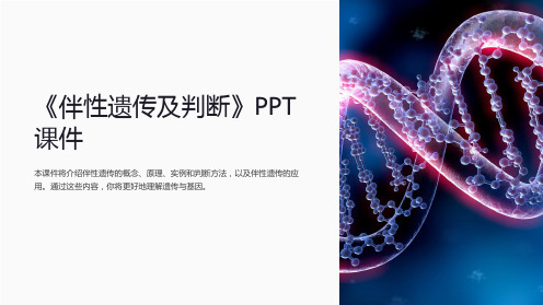 《伴性遗传及判断》课件
