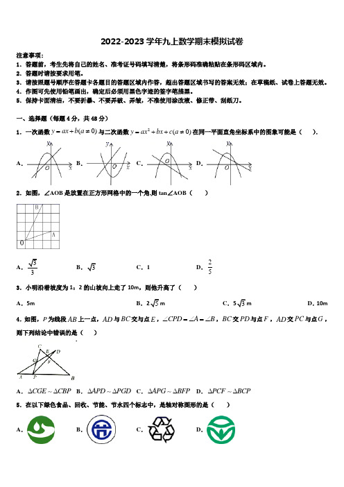 2022年北京市昌平区北京人大附中昌平校区九年级数学第一学期期末学业质量监测试题含解析