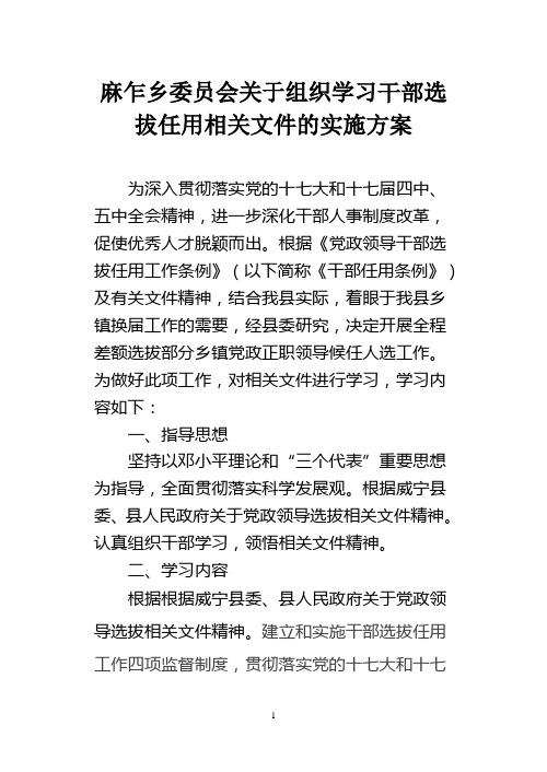 麻乍乡委员会关于组织学习干部选拔任用相关文件的实施方案