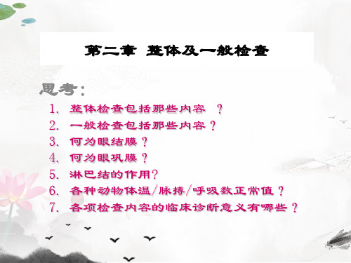 课件:兽医临床诊疗课件-3