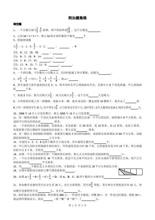 六年级数学奥数附加题集锦