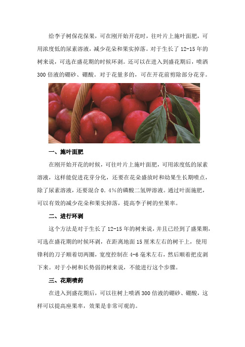 李子开花怎样保花保果