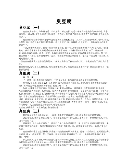 臭豆腐作文共九篇