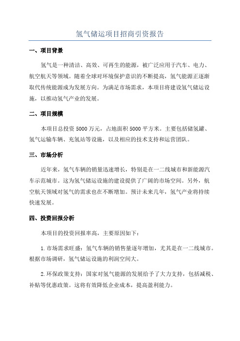 氢气储运项目招商引资报告