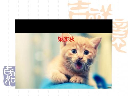 《猫的故事》PPT课件3 (共10张PPT)