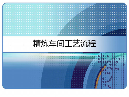 精炼车间工艺流程 PPT