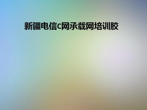 新疆电信C网承载网培训胶