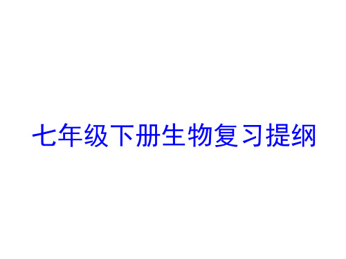 七年级下册生物复习提纲人体