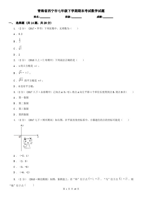 青海省西宁市七年级下学期期末考试数学试题