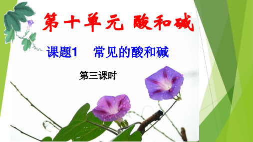 九年级化学下册 10.1 常见的酸和碱 第二课时 常见的碱 (课件和视频6份打包)