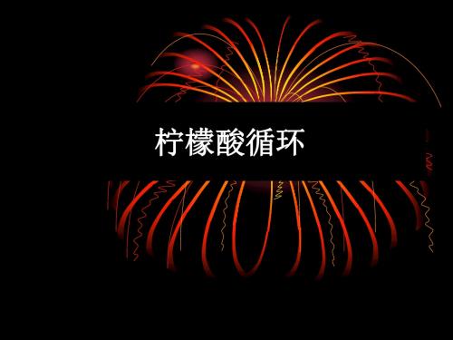 生物化学柠檬酸循环