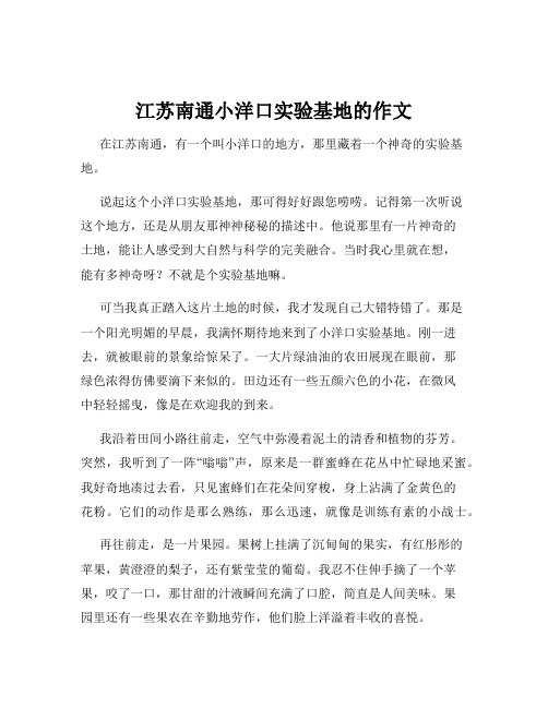 江苏南通小洋口实验基地的作文