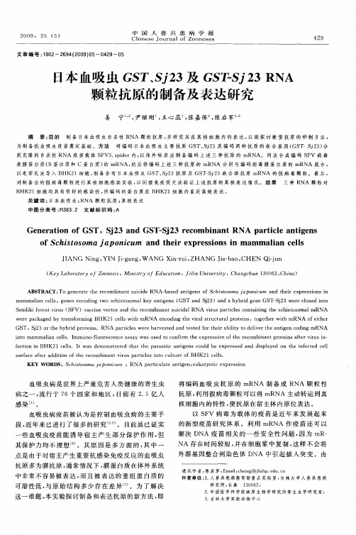 日本血吸虫GST、Sj23及GST-Sj23 RNA颗粒抗原的制备及表达研究