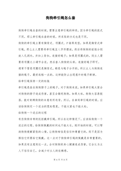 狗狗牵引绳怎么套