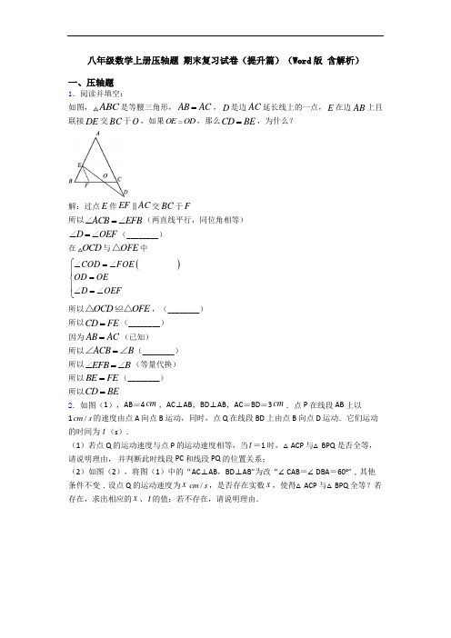 八年级数学上册压轴题 期末复习试卷(提升篇)(Word版 含解析)