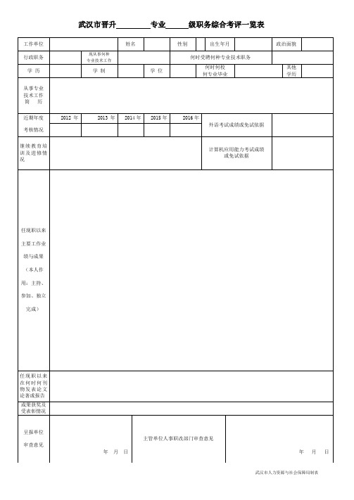 武汉晋升专业级职务综合考评一览表