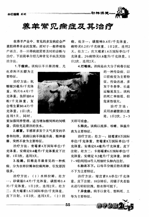 养羊常见病症及其治疗