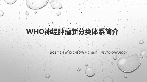 第五版 WHO神经肿瘤分类体系简介