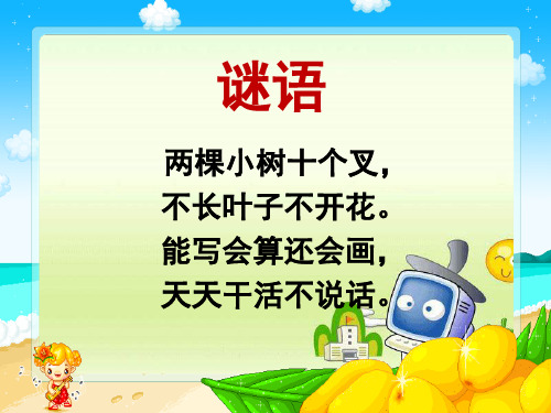 《手指》PPT课件