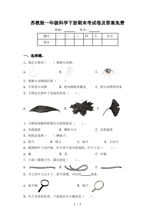 苏教版一年级科学下册期末考试卷及答案免费