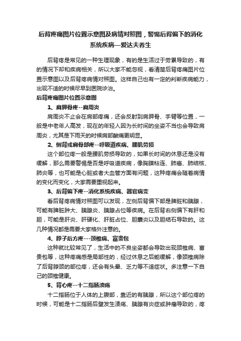 后背疼痛图片位置示意图及病情对照图，警惕后背偏下的消化系统疾病—爱达夫养生