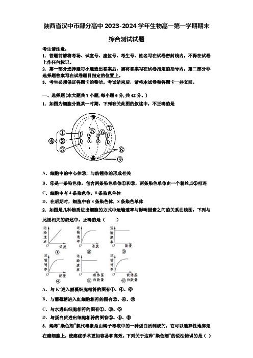 陕西省汉中市部分高中2023-2024学年生物高一第一学期期末综合测试试题含解析