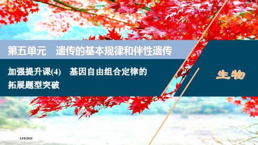 高考生物一轮复习 加强提升课(4) 基因自由组合定律的拓展题型突破课件