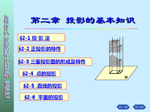 投影的基本知识