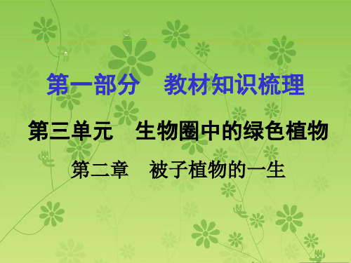 2016届中考面对面(人教版)生物复习课件 第一部分教材知识梳理 第三单元第二章 被子植物的一生