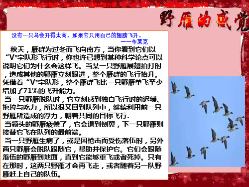 七年级道德与法治下册第三单元在集体中成长第六课“我”和“我们”第一课时集体生活邀请我