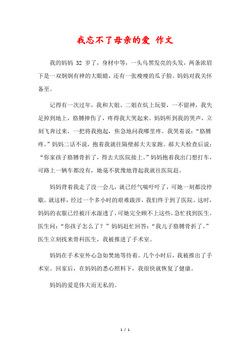 我忘不了母亲的爱作文400字左右