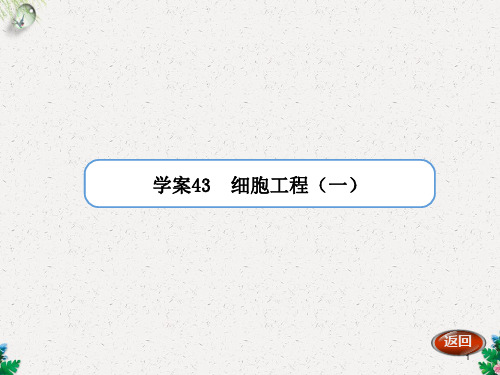 高考生物(人教版)一轮复习“学案”课件:第43讲 细胞工程(一)(共22张PPT)