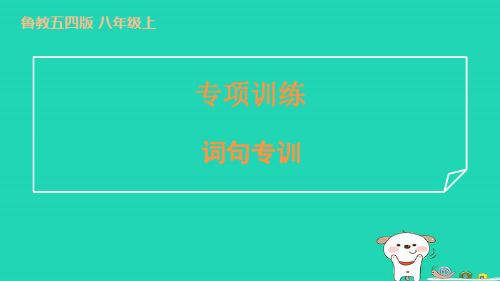 八年级英语上册专项训练词句专训习题课件鲁教版五四制