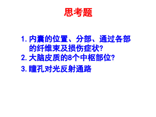 《系统解剖学》教学课件：脑和脊髓的被膜 血管