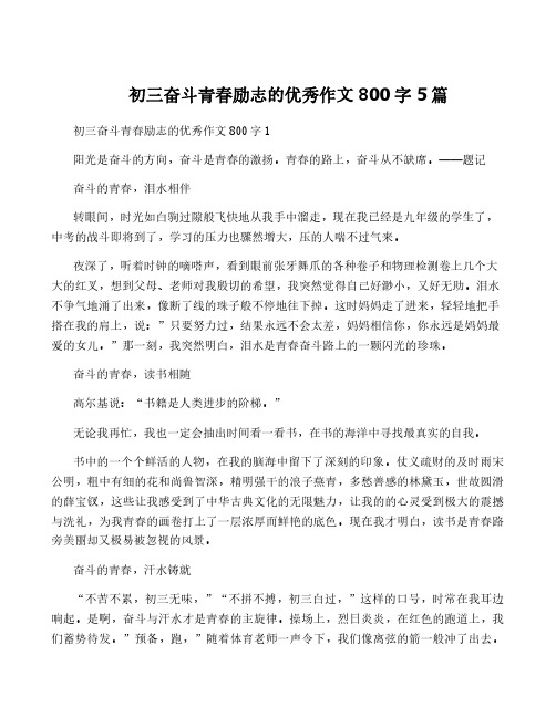 初三奋斗青春励志的优秀作文800字5篇