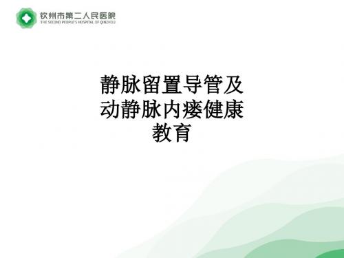 静脉留置导管及动静脉内瘘健康教育ppt课件