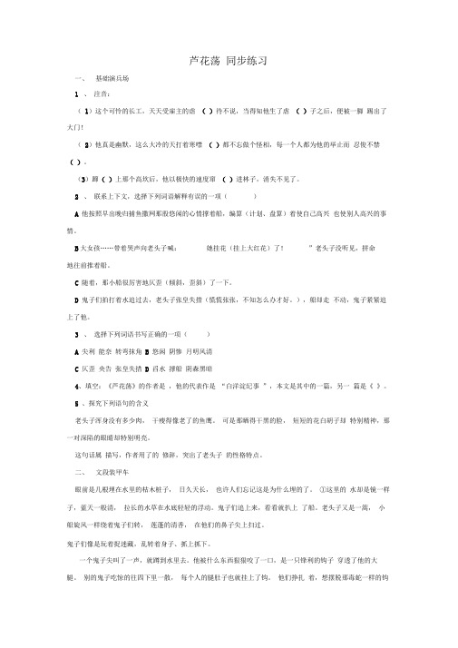 《芦花荡》同步练习2