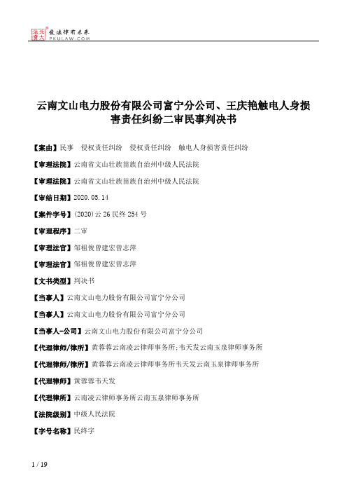 云南文山电力股份有限公司富宁分公司、王庆艳触电人身损害责任纠纷二审民事判决书