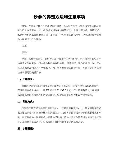 沙参的养殖方法和注意事项