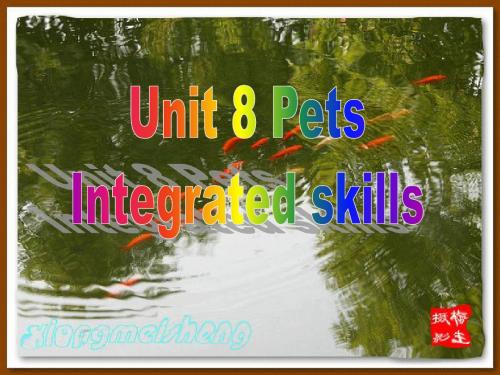 牛津译林版7B Unit8 Pets Integrated skills课件(共29张PPT)